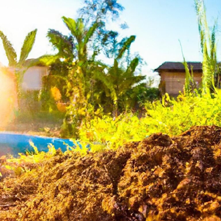 Como proteger plantações de eventos climáticos extremos