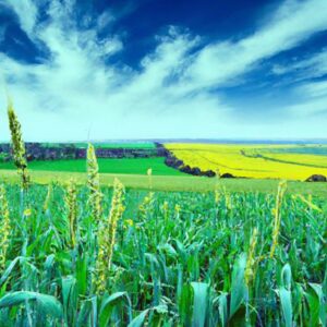 Tecnologias modernas que transformam o campo