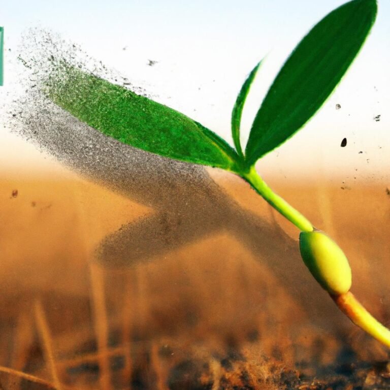 O que fazer quando a planta não se fecha mais